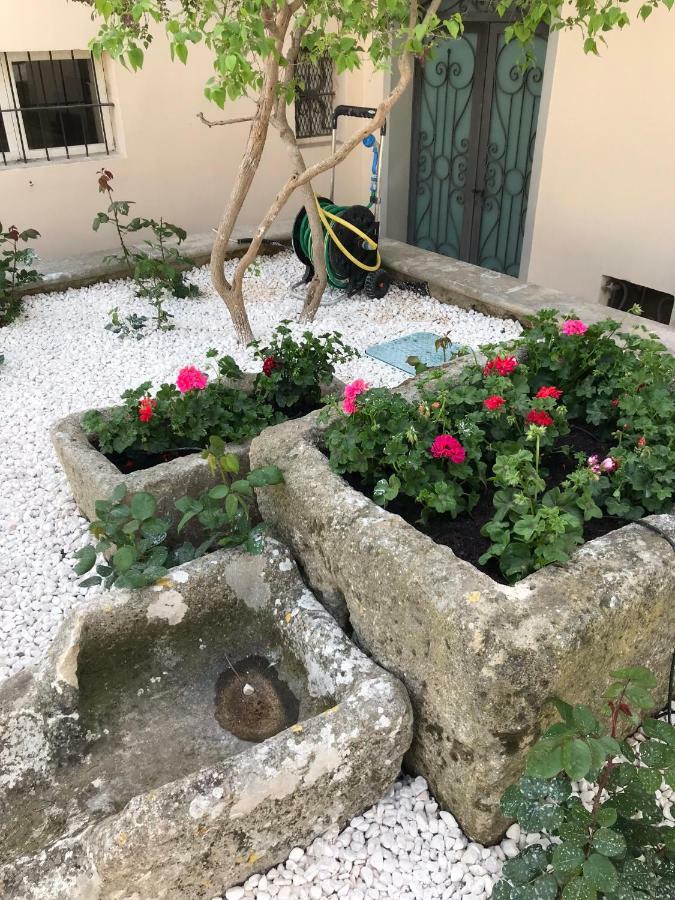 Giardini 82 B&B Gravina in Puglia Extérieur photo